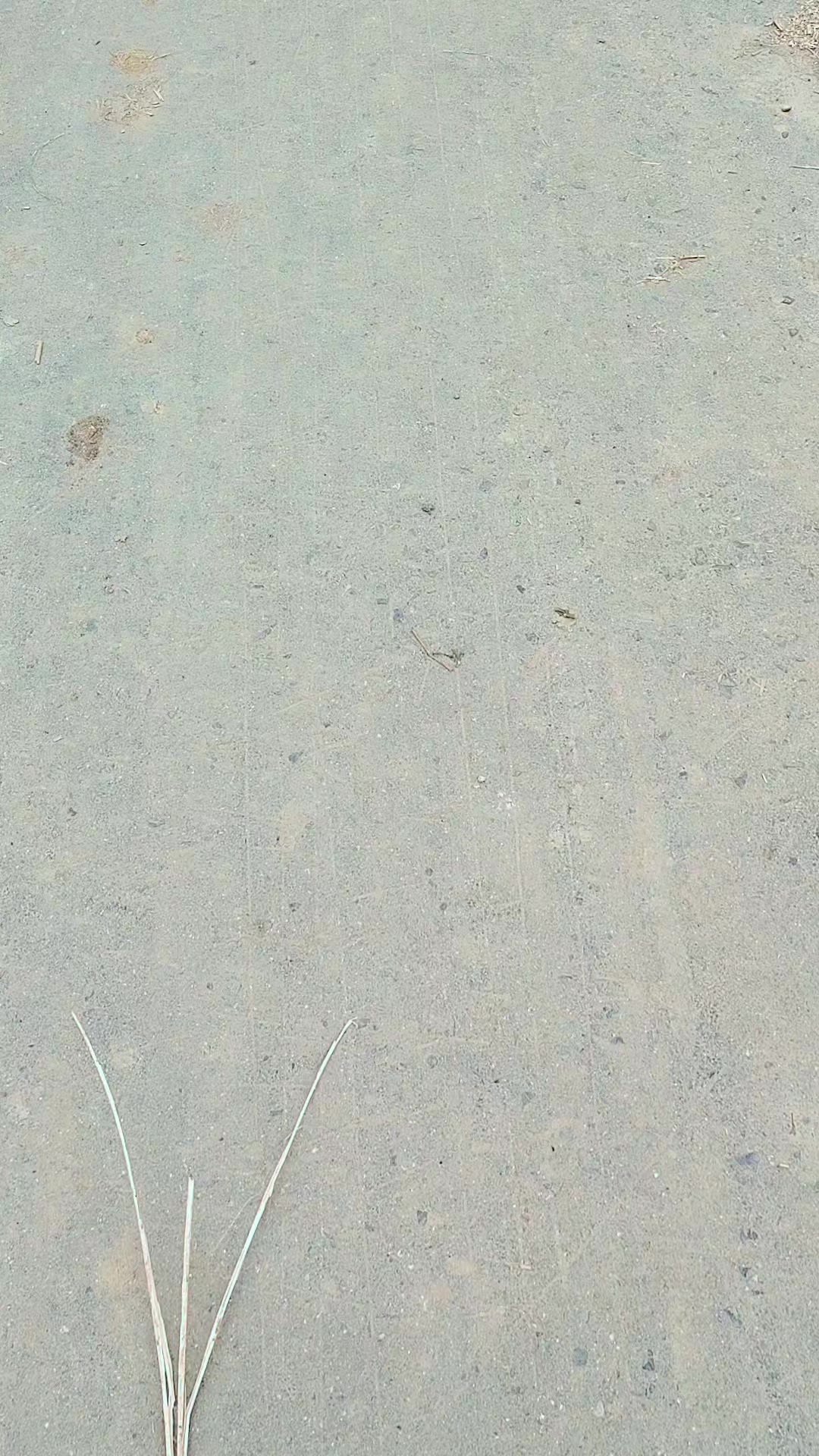@ⓂⒶⒽⒶⒷⓊⒷ