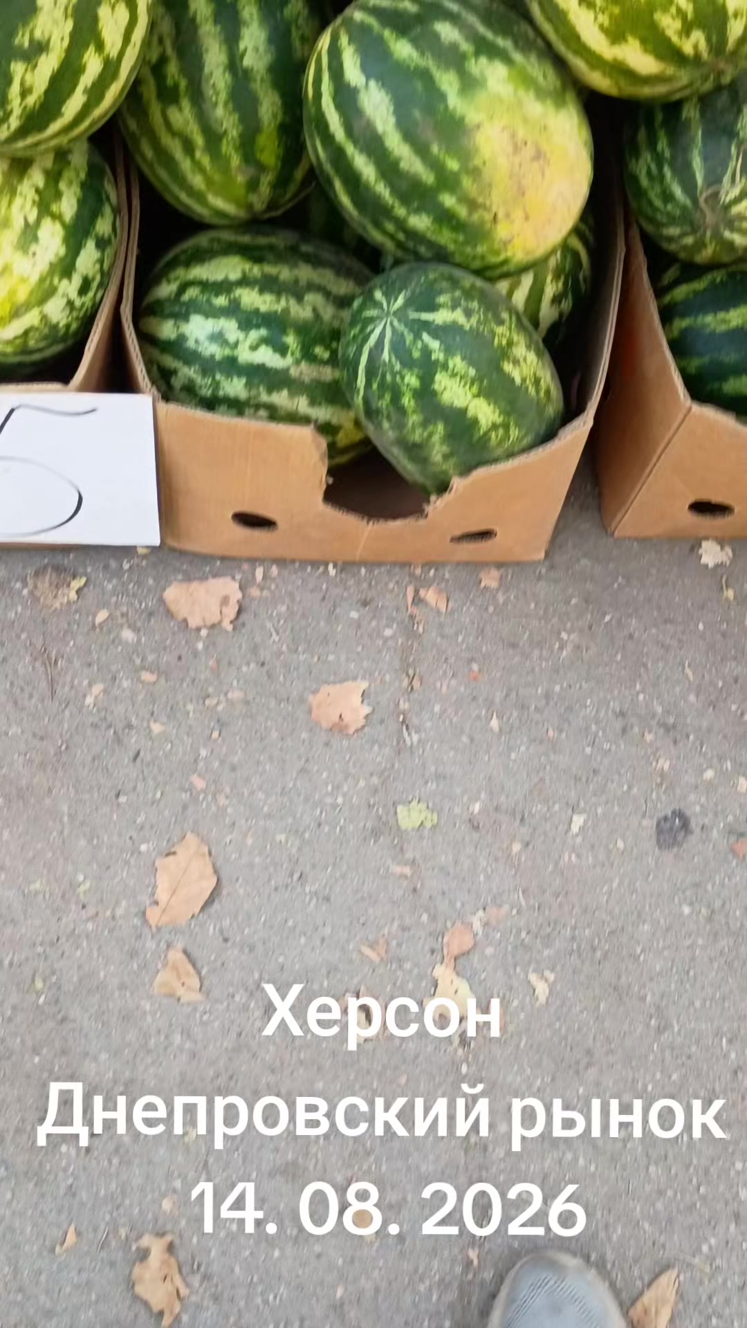 @IOSIF99999
