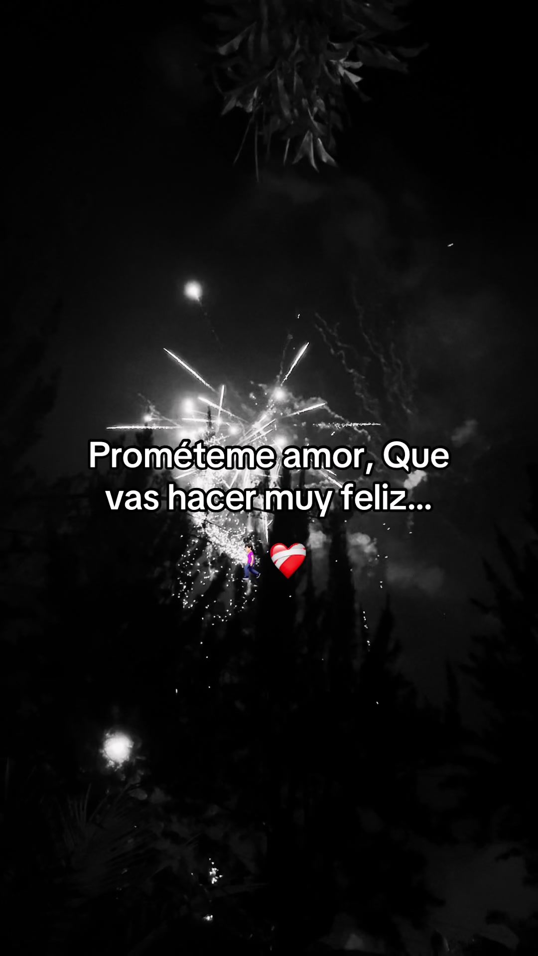 @Usuario No Encontrado.