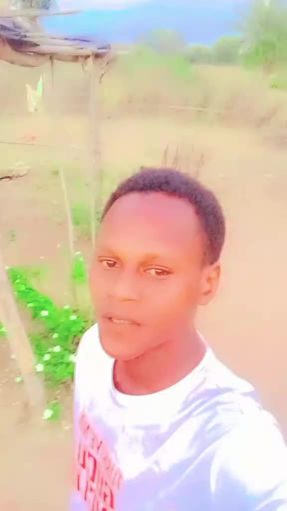 @user18193253317520