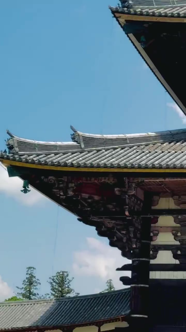 @🦋ŝĥîrĵañá🇳🇵🫶🇯🇵