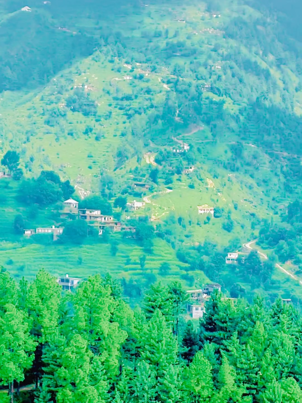 @🌲غر سنے 🌲