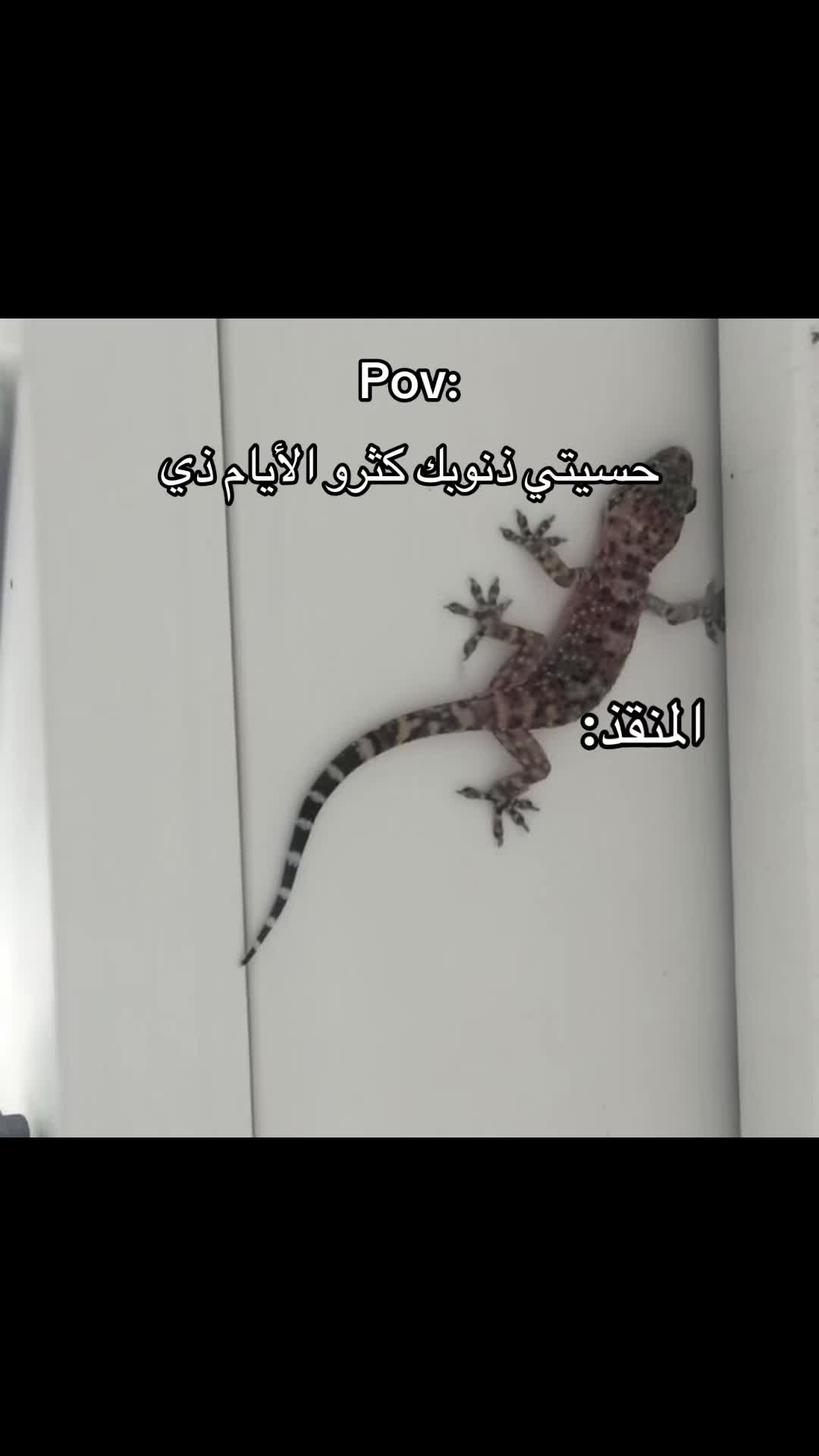 @𝑺𝒉𝒂𝒎🪽
