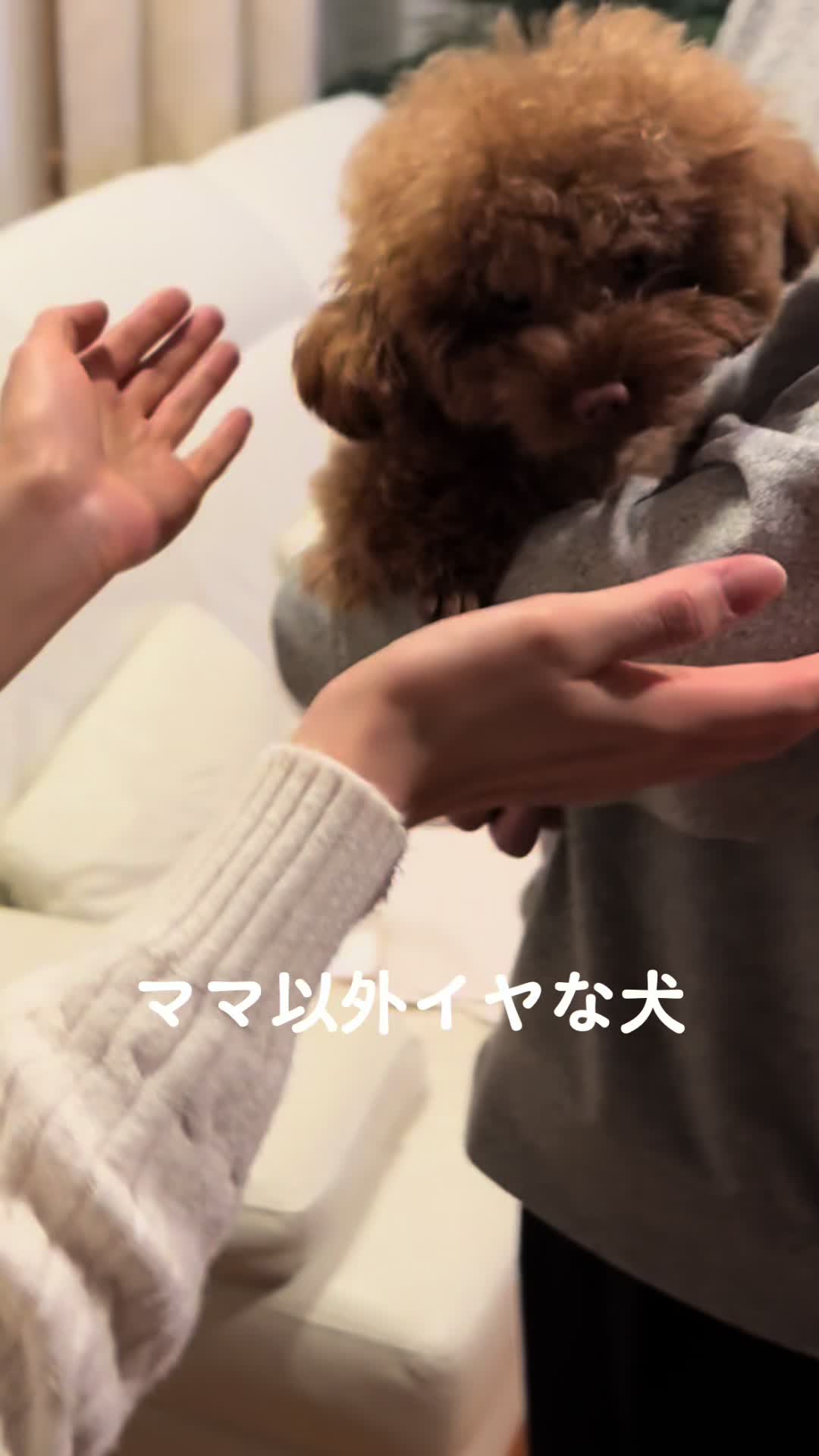 @るるもも