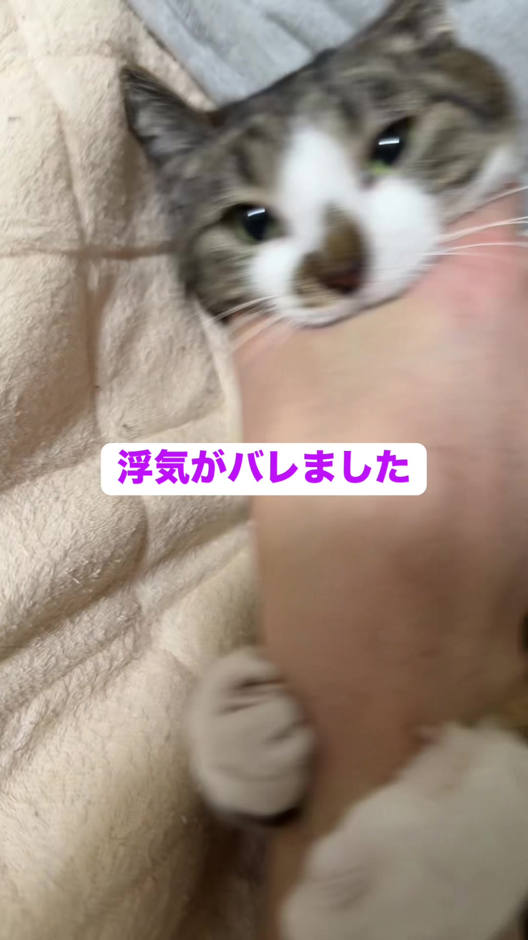 @ใจใใ๐๐ค๐3/28๐