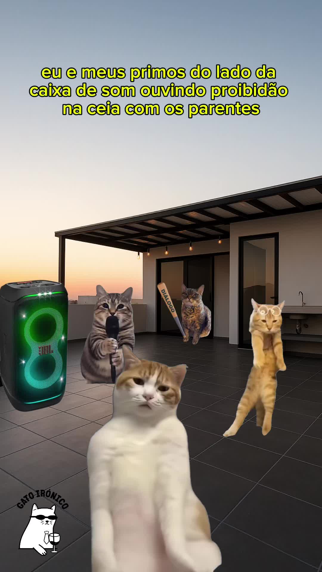 @gato ironico