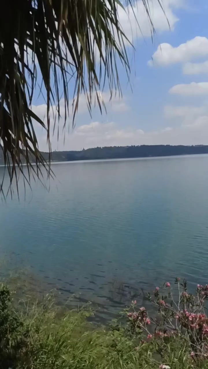 @yaşar yıldızhan