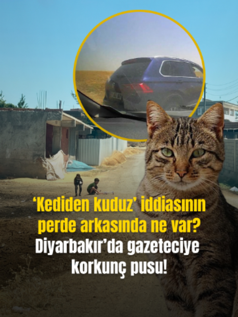 @Mynet