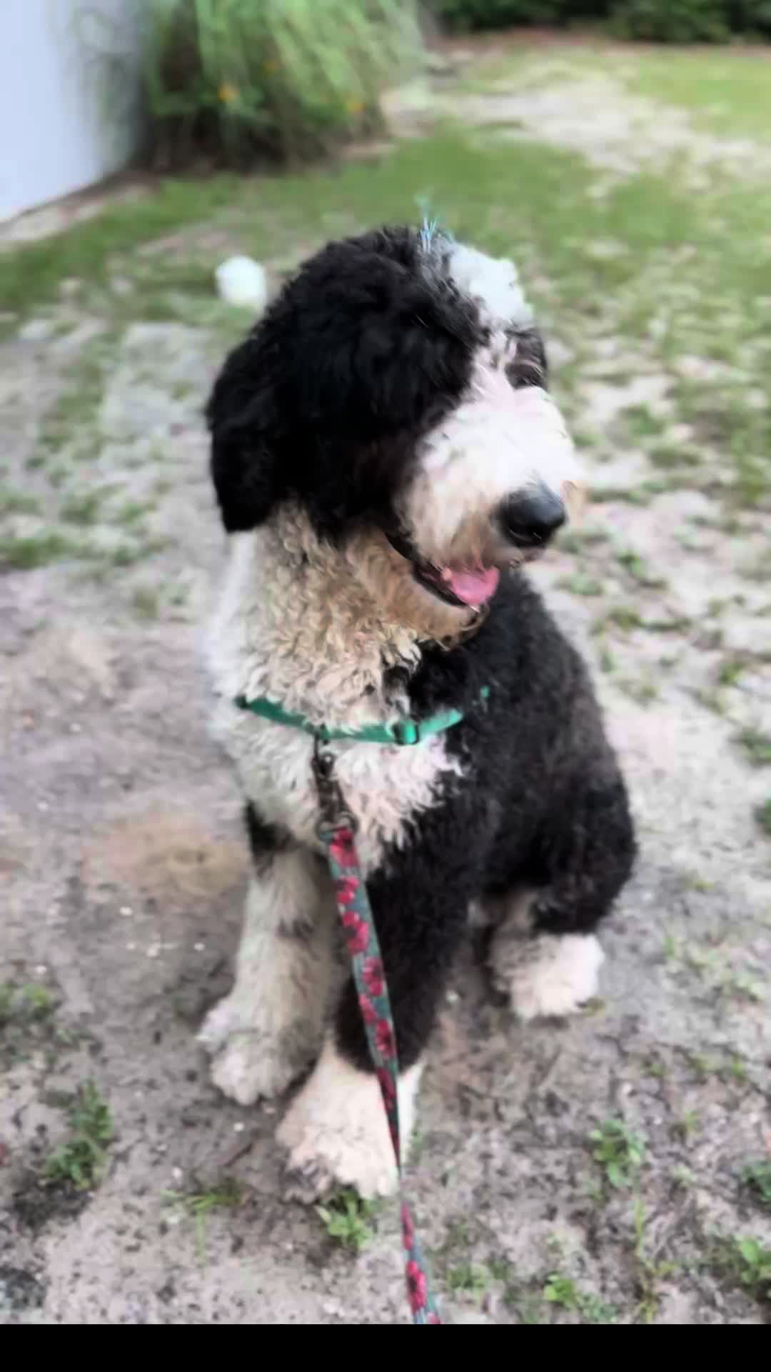 @Mariah Bibbey
