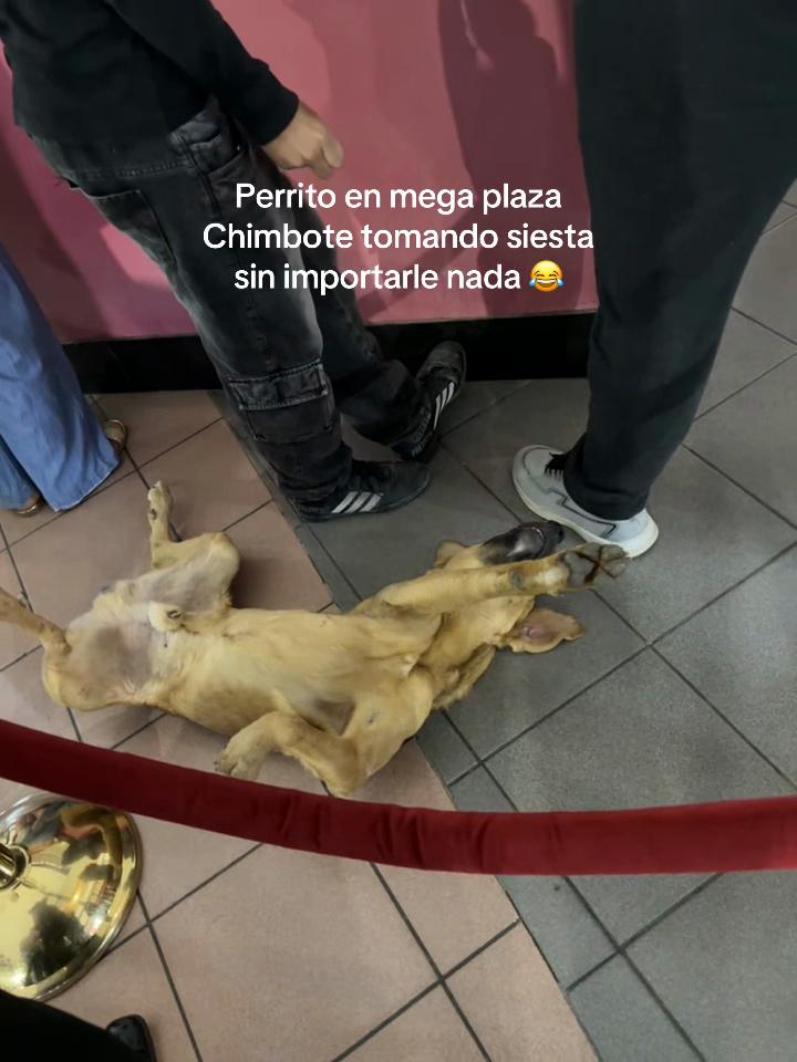 @Cheetos_uwu