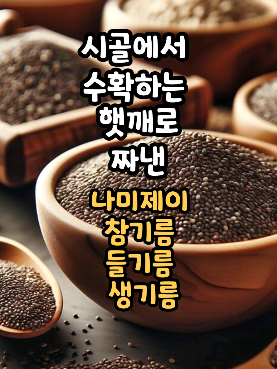 @나미제이