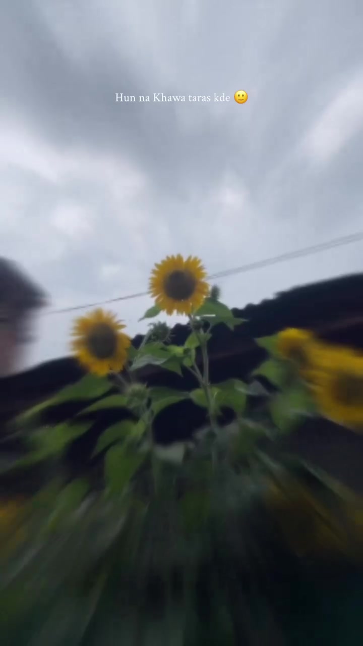 @🅼🆁 🆄🅽🅺🅽🅾🆆🅽 🎶