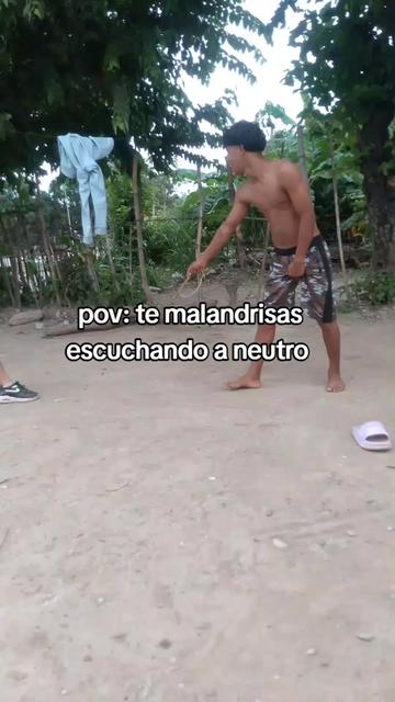 @PELADITO BRR🦁