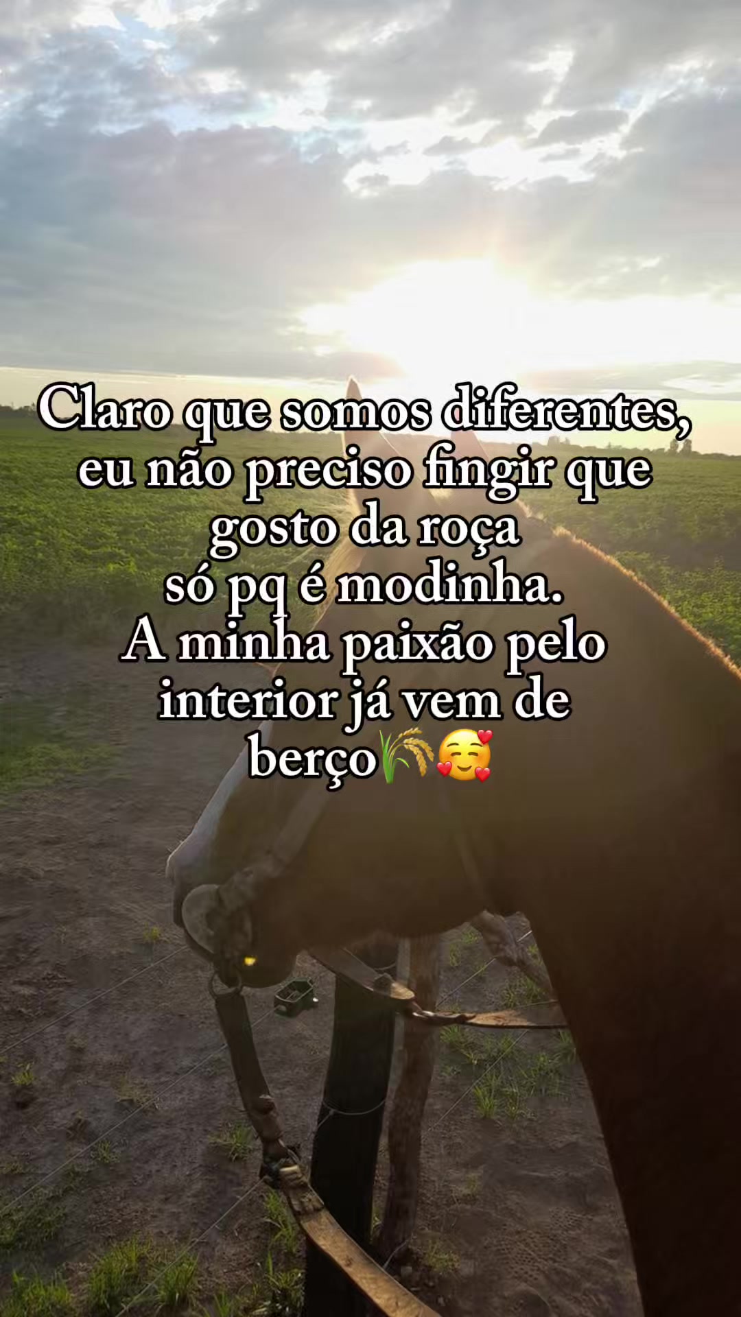 @Somodaogo