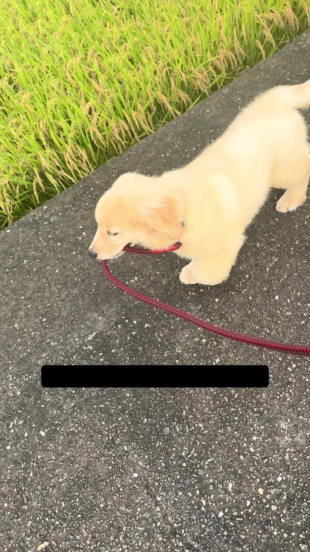 @群馬発すー旅⌇旅と暮らし