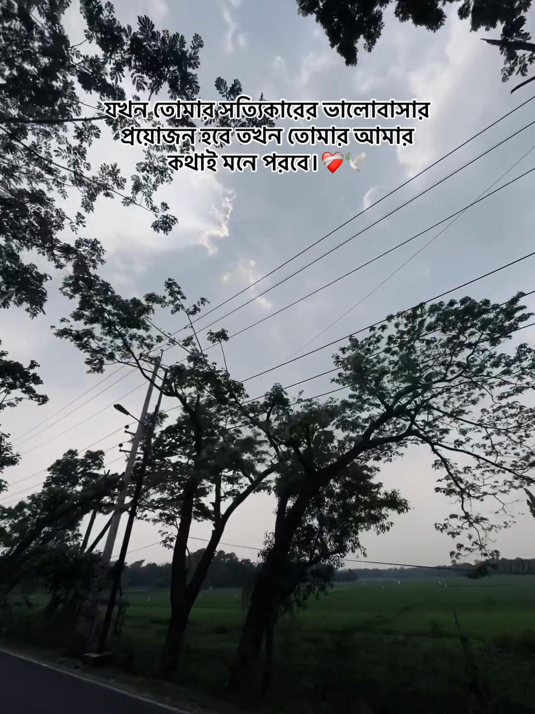 @S 🚩
