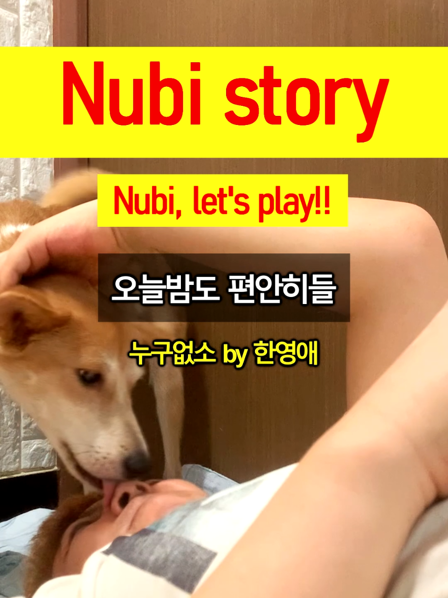 @누비★스토리 Nubi story