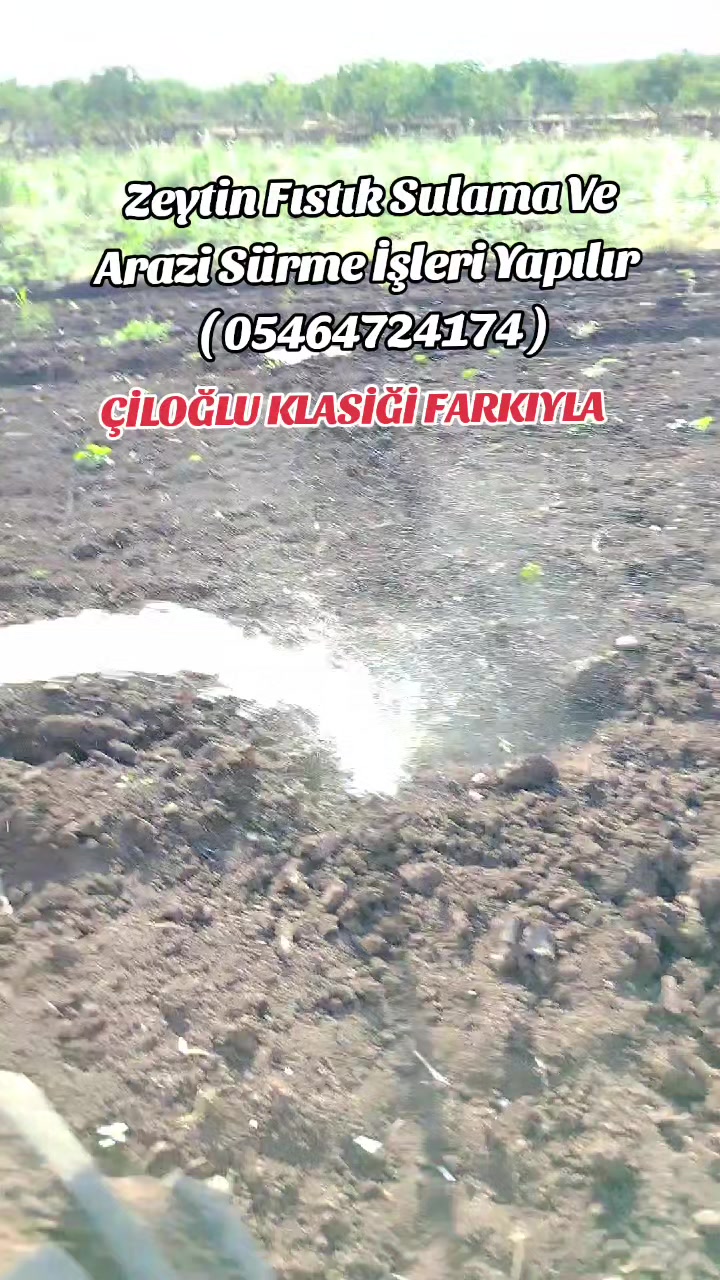 @&Ccedil;İLOĞLU KLASİĞİ