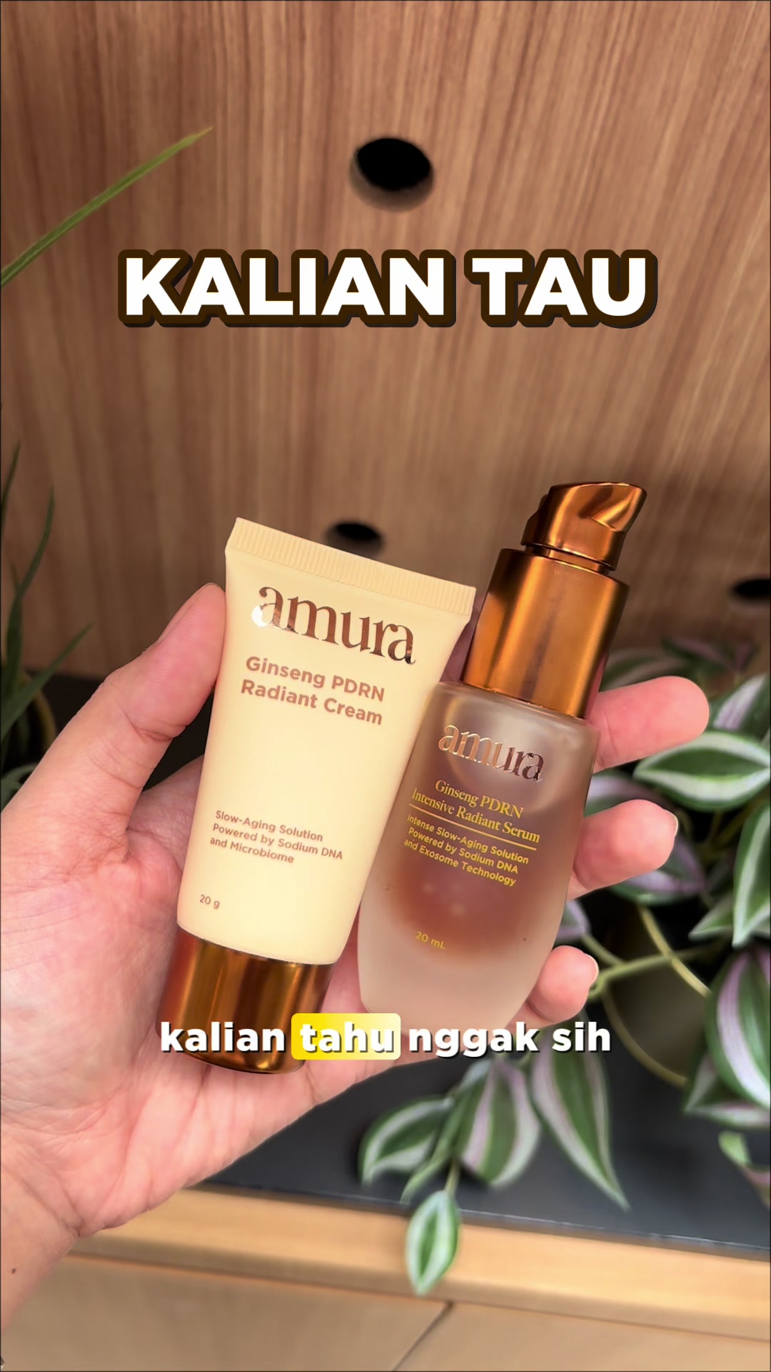 @AmuraOfficial