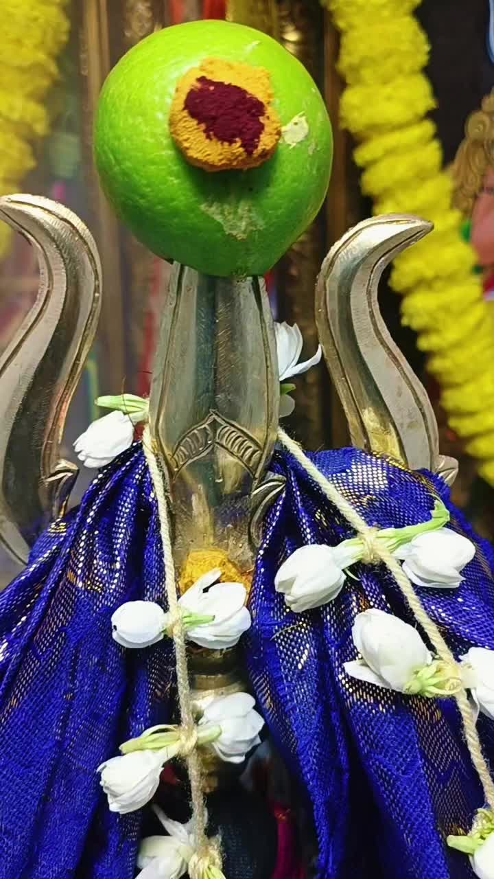 @Homathy🐼JayRaj
