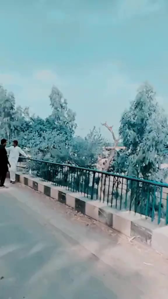@مہر شوکت سیال