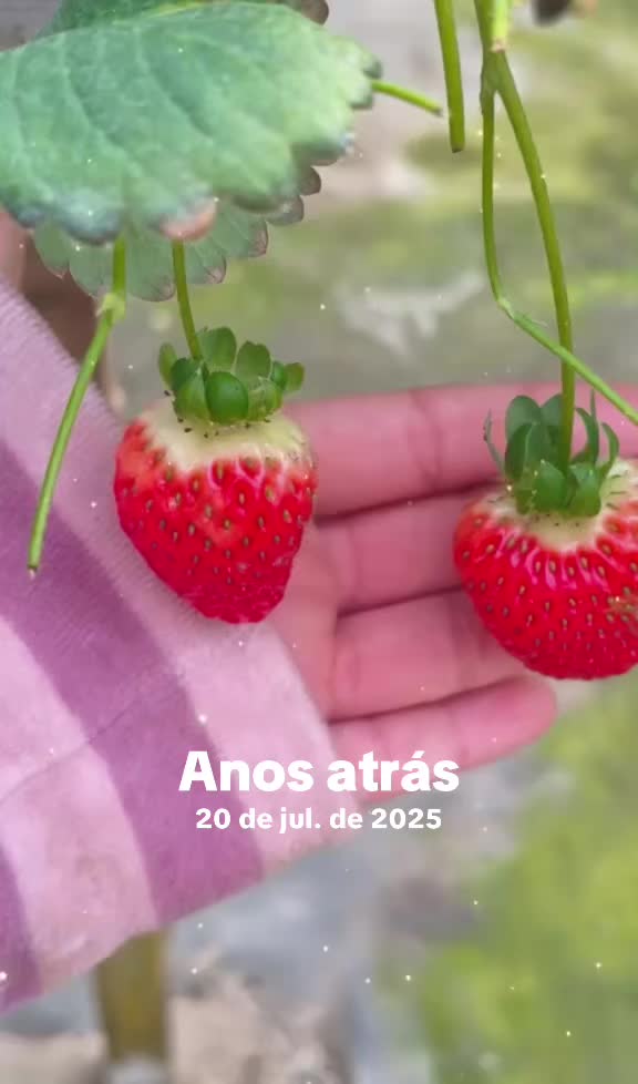 @reflexoes_davida