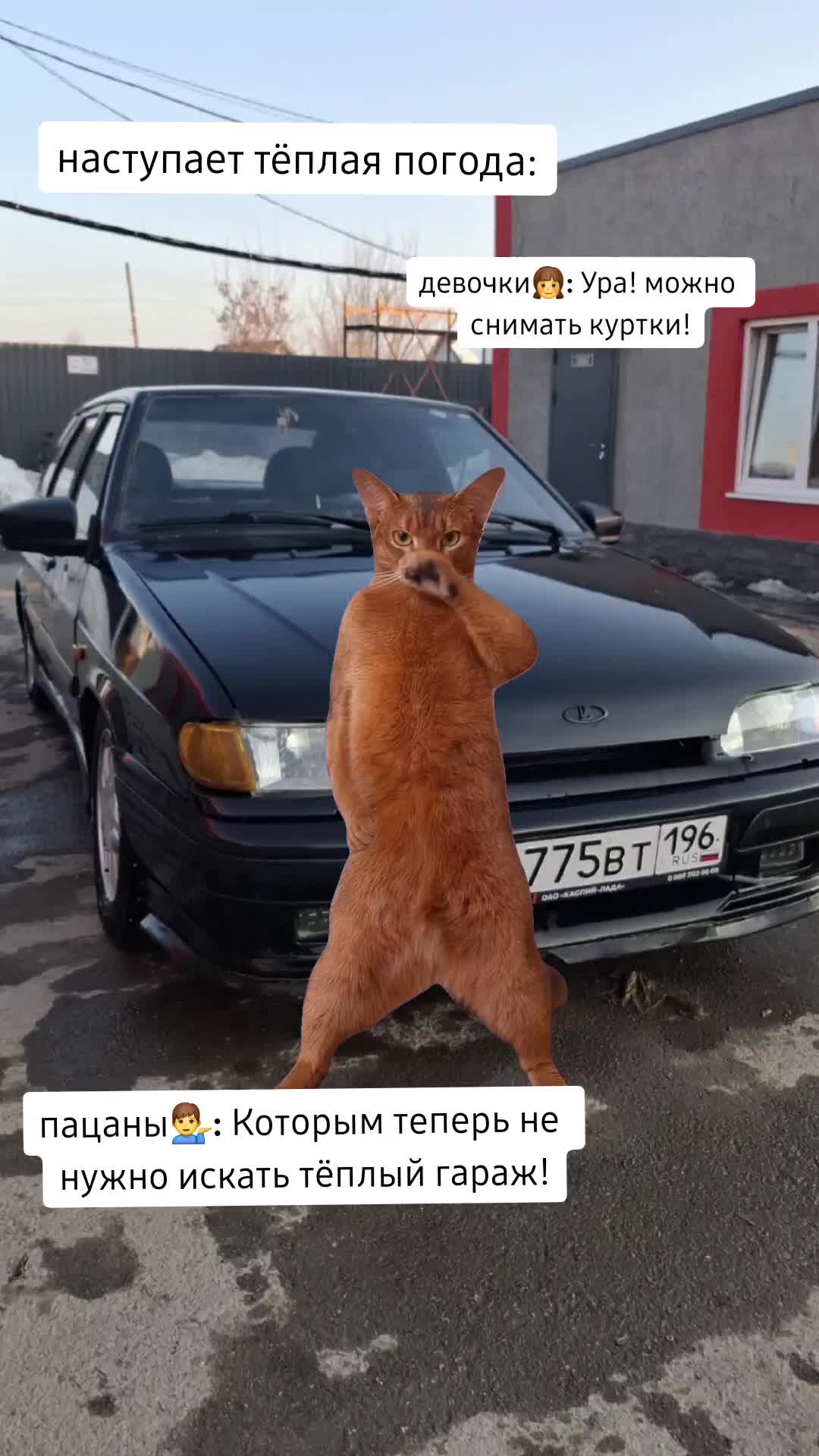 @Дарья Максимовна