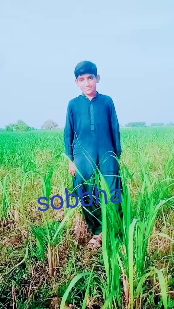 @soba jatoi