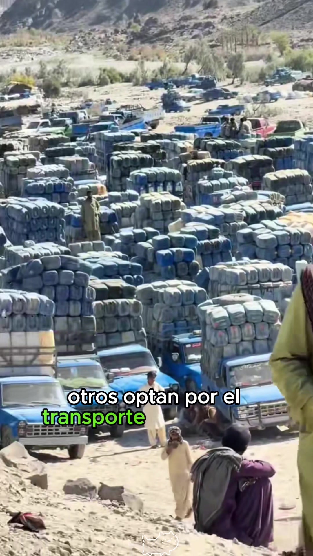 @Zootopia 111