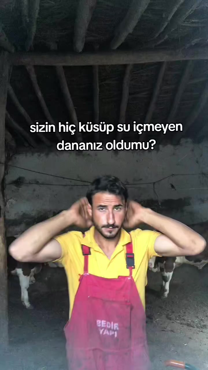 @OZAN DER.