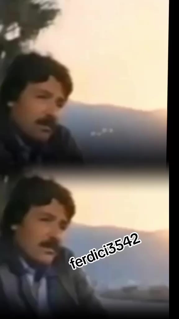 @ferdici3542