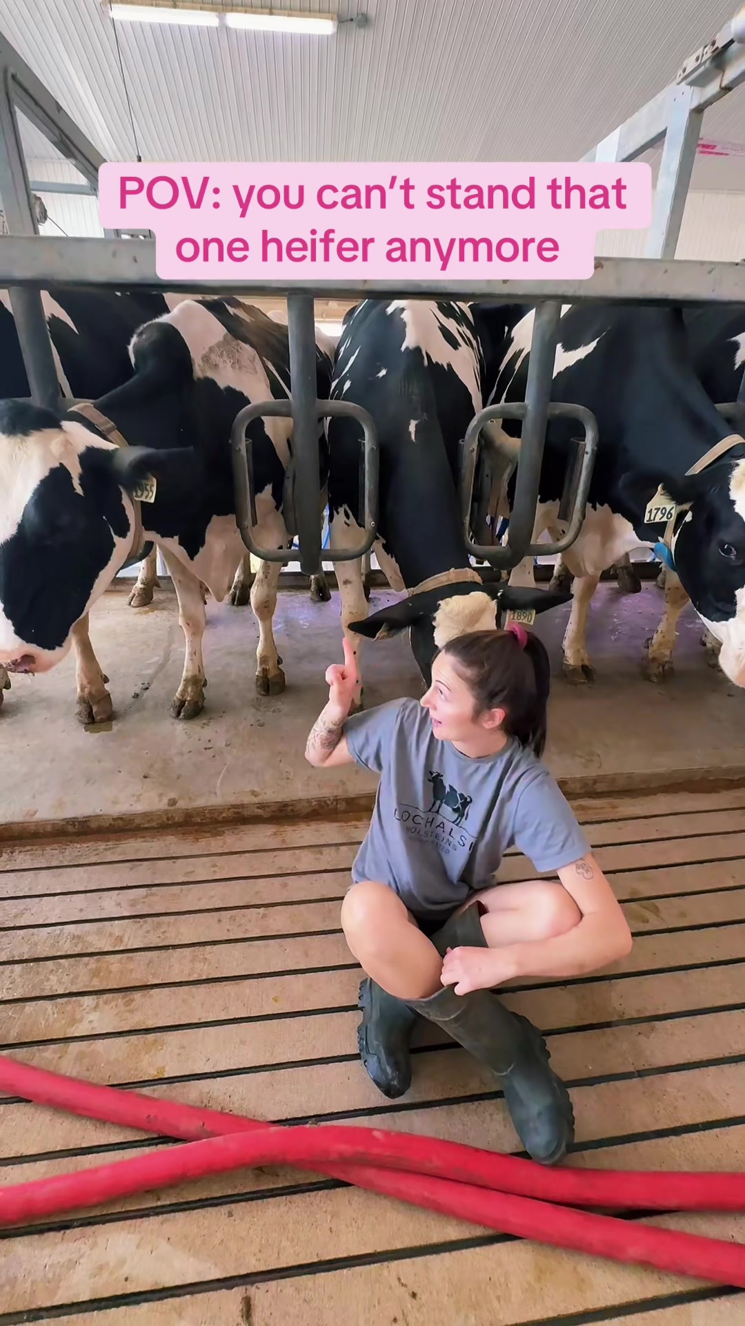 @519farmgirls
