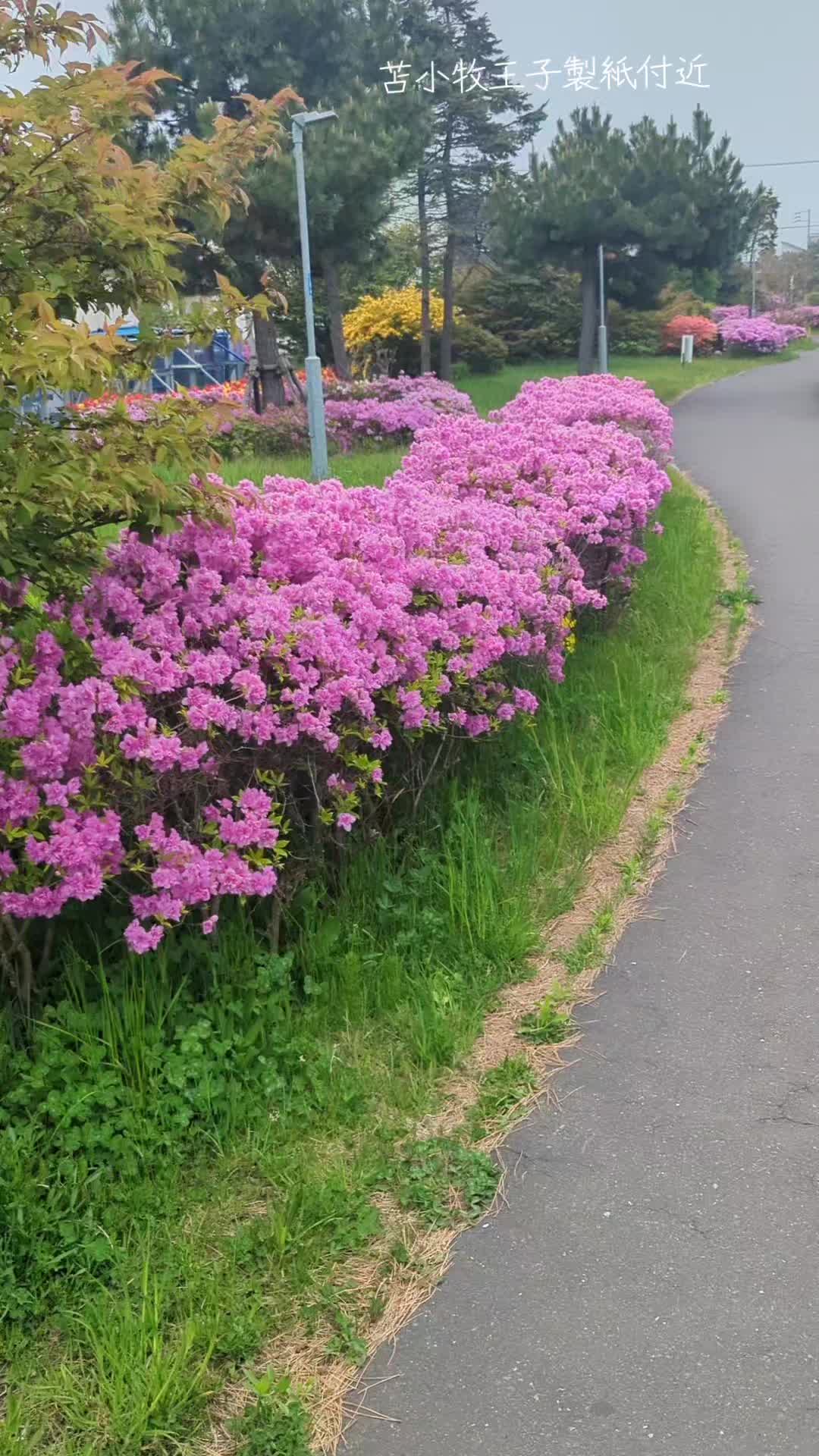 @しん
