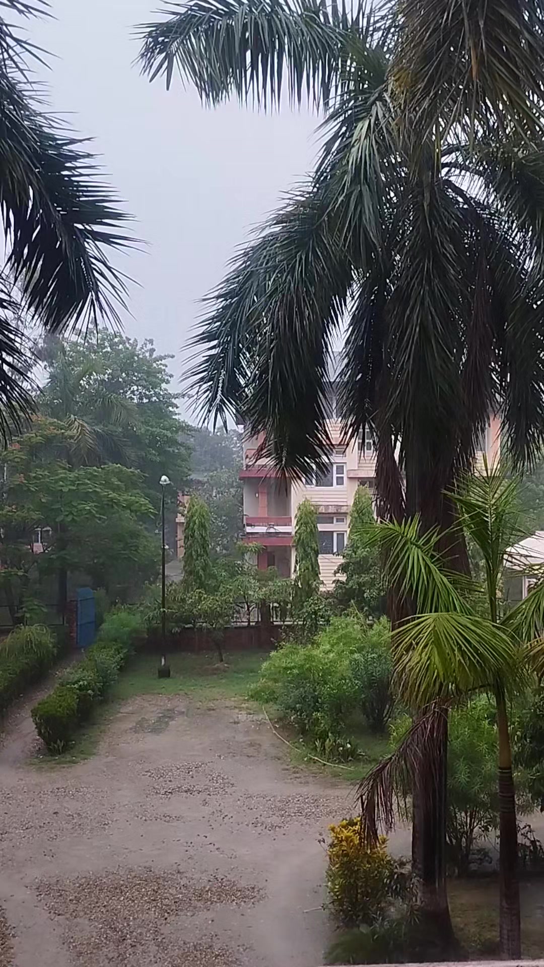 @Tika Bhandari