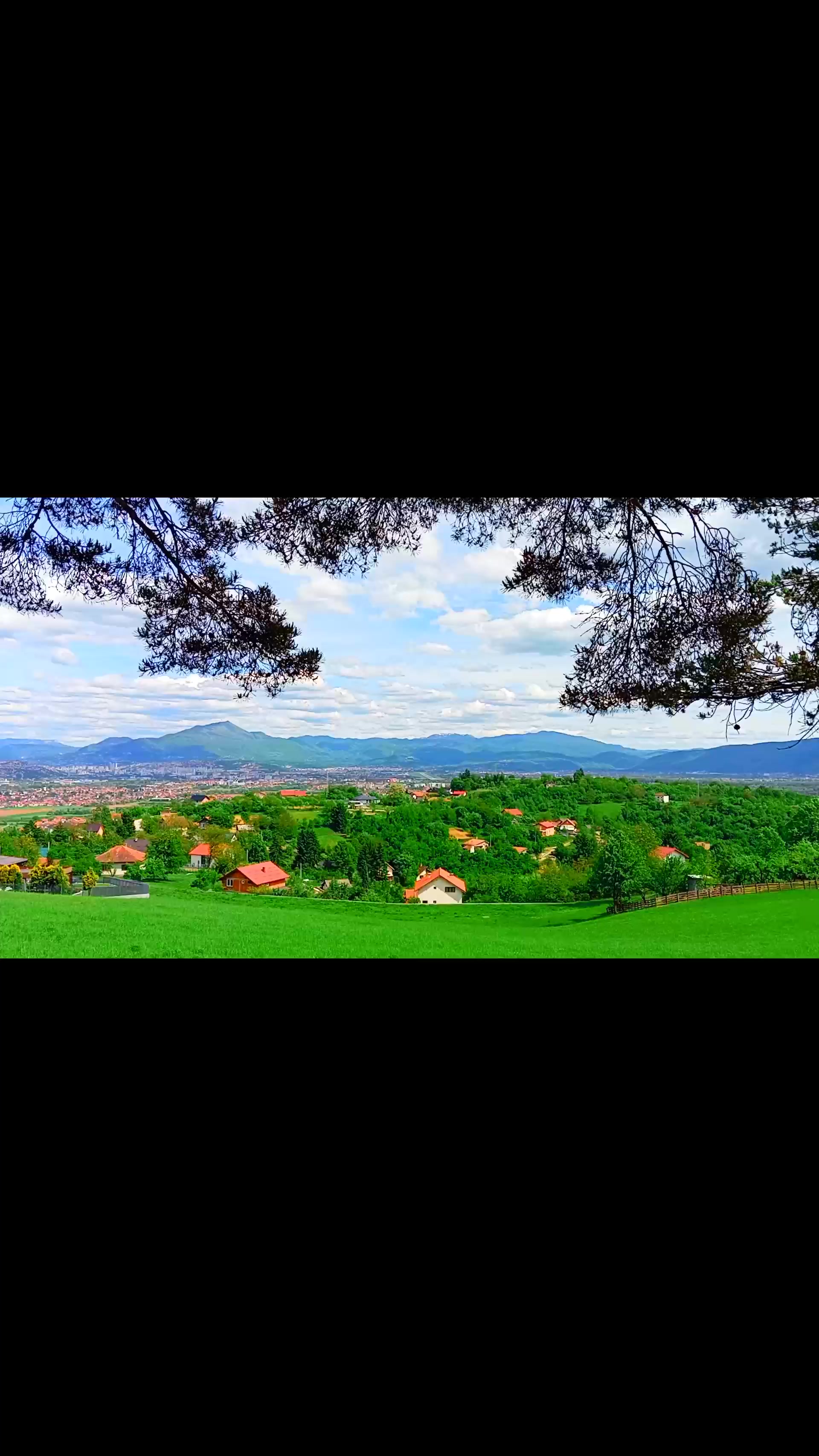 @Oko čamparasto 🌼