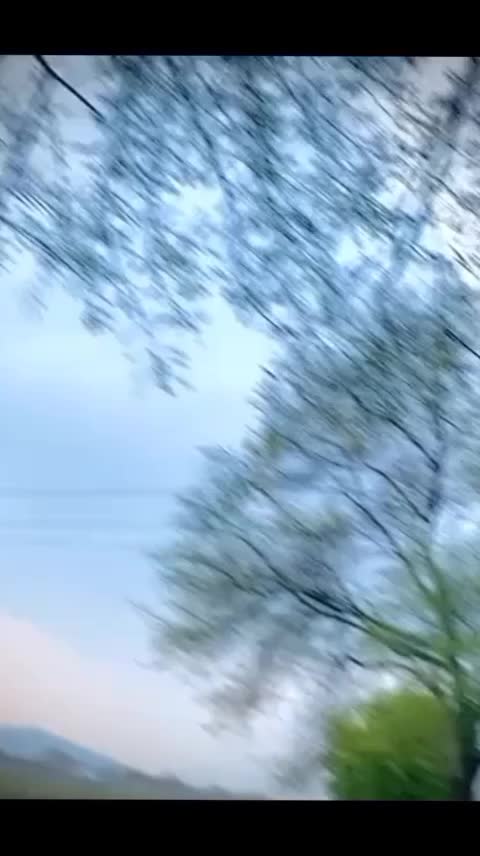 @SHAHZADA🦁🤚