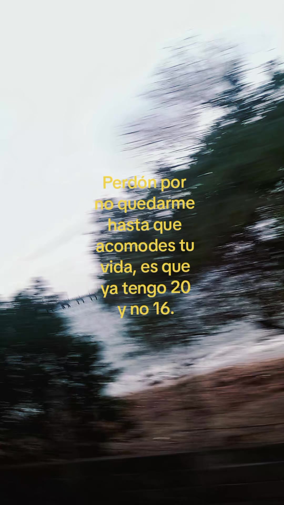 @Licedcf 𓆰 𓆪