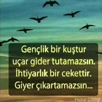@Şenay hayat