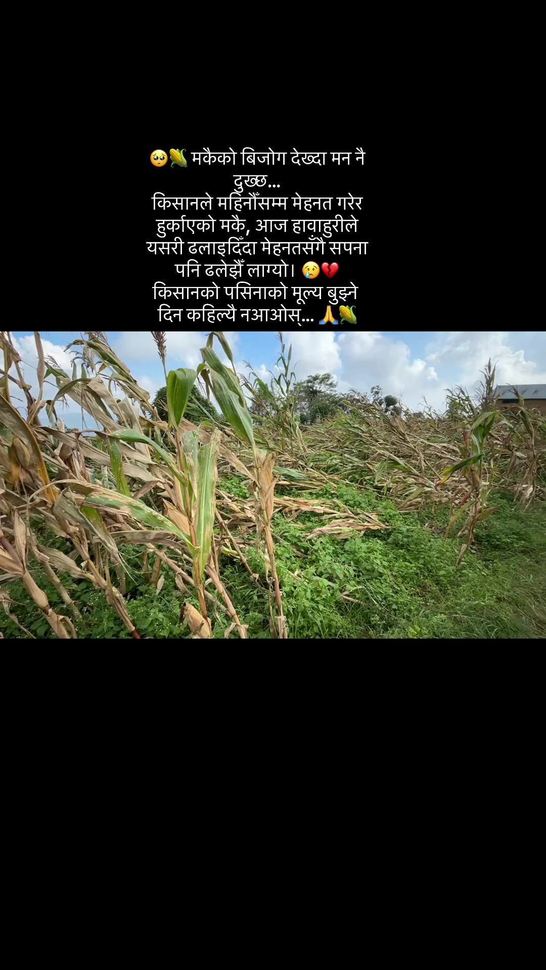 @ཉི་མ་རྟ་མང།☸️🐍🙇♀️