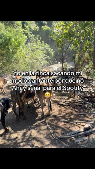 @Liss! 🤠
