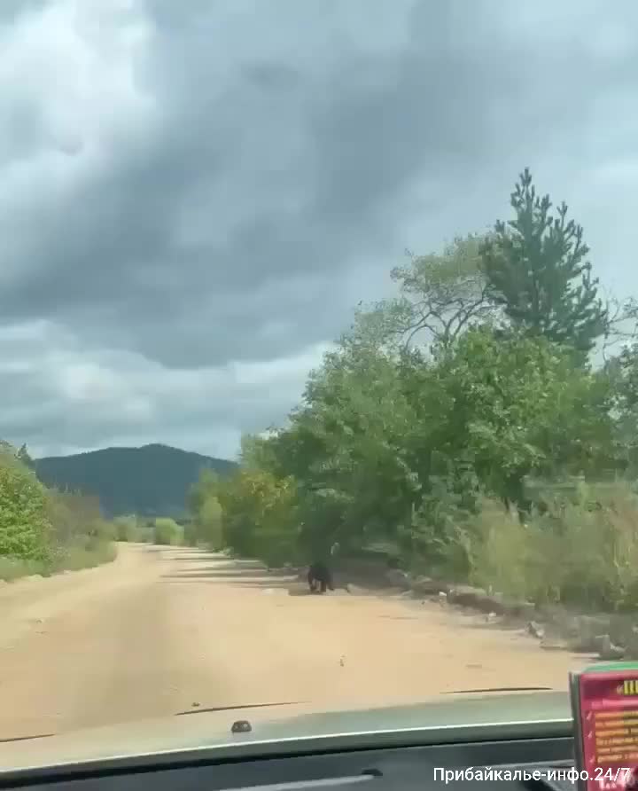 @Ольга03rus