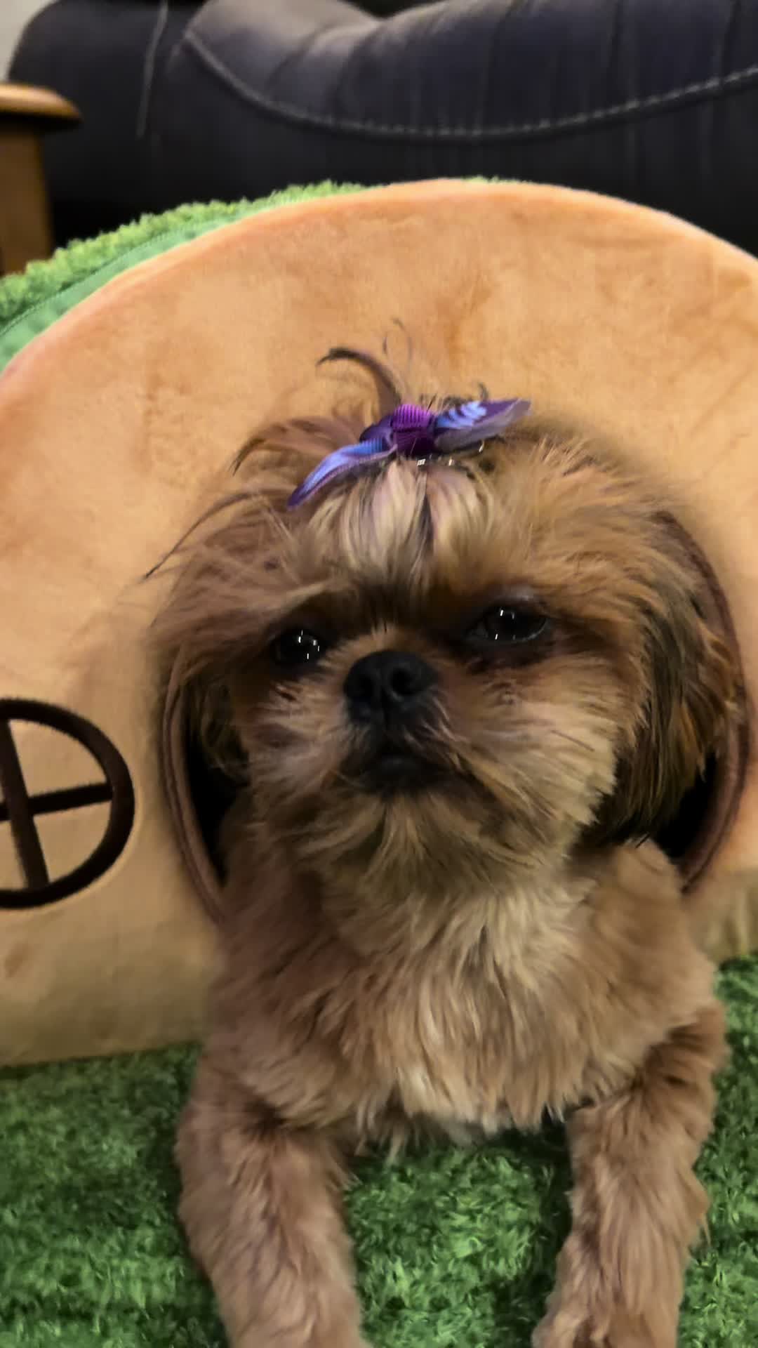 @LittleBear