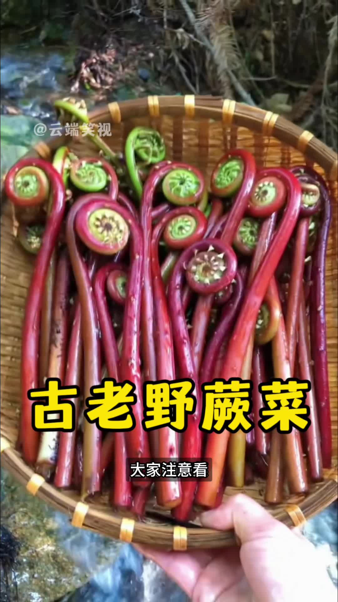 @云端笑视