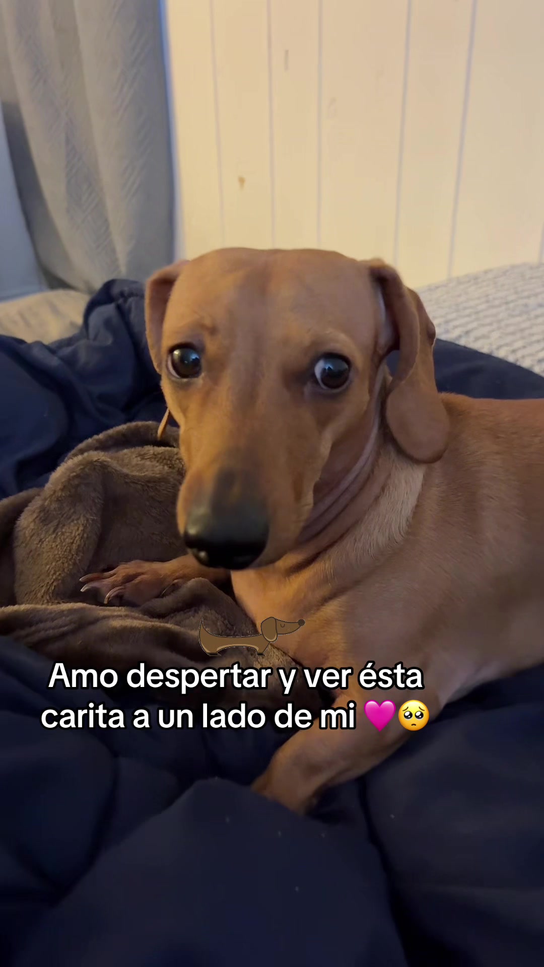 @Diana Bernal