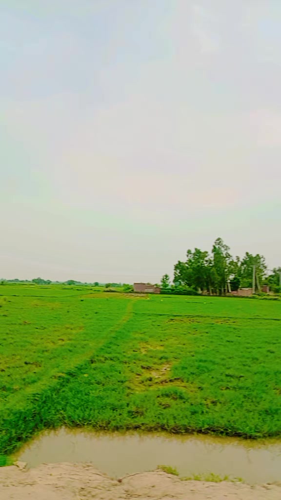 @Shah g