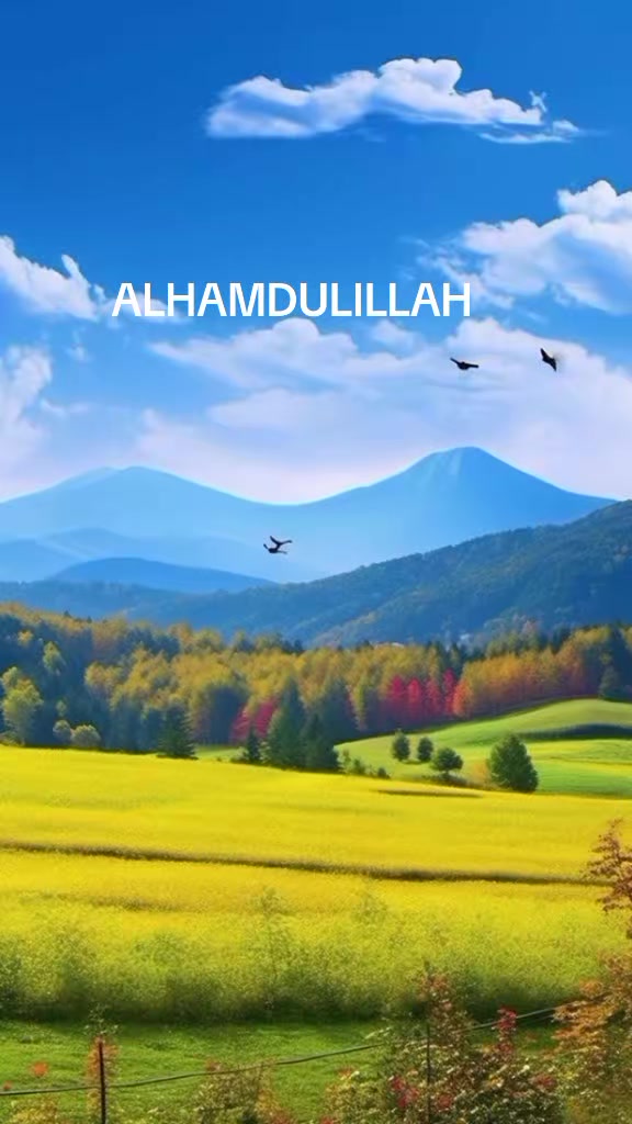 @Nalongo sheillahumar