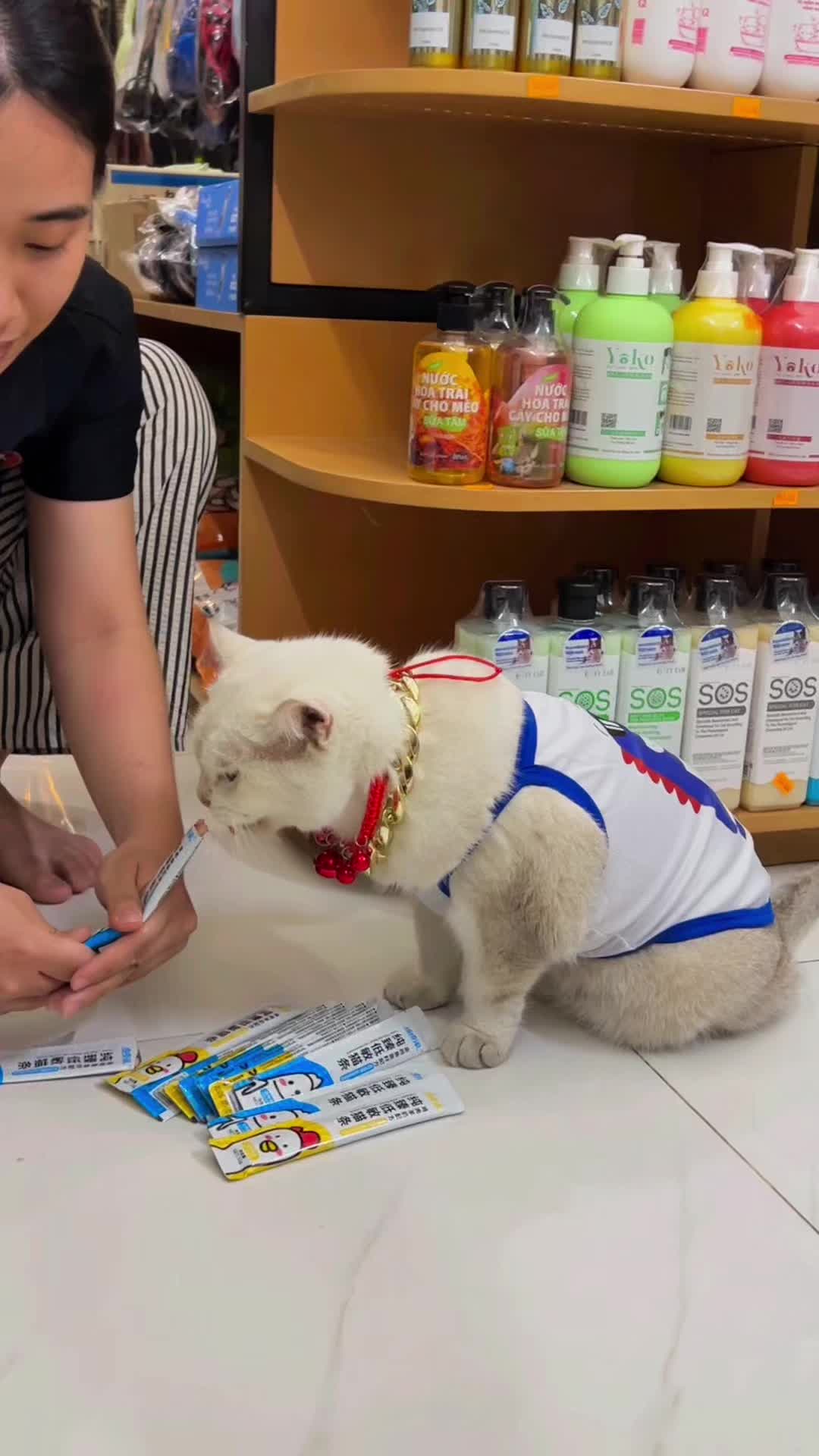 @TiTi Pet