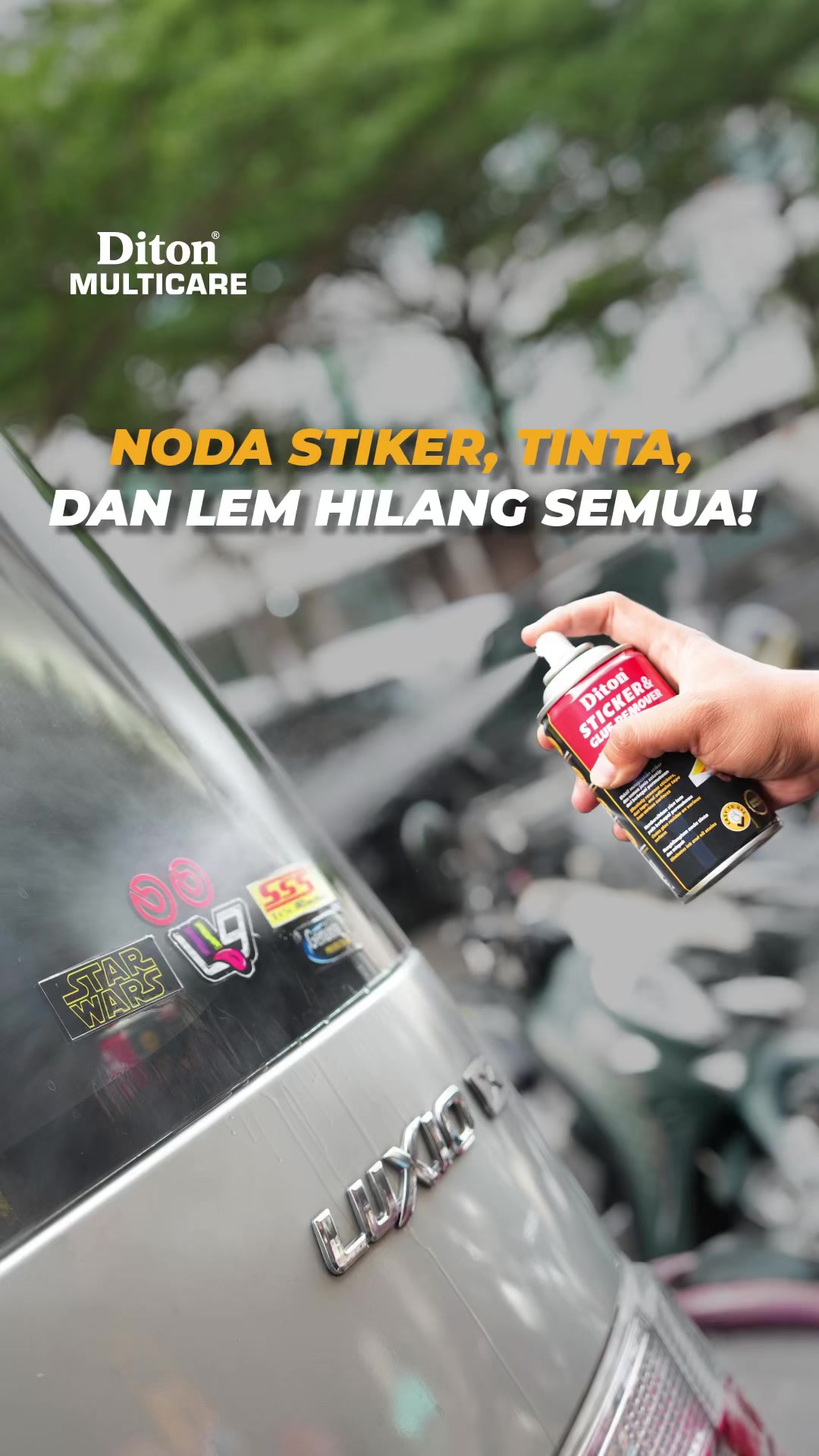 @Diton Premium