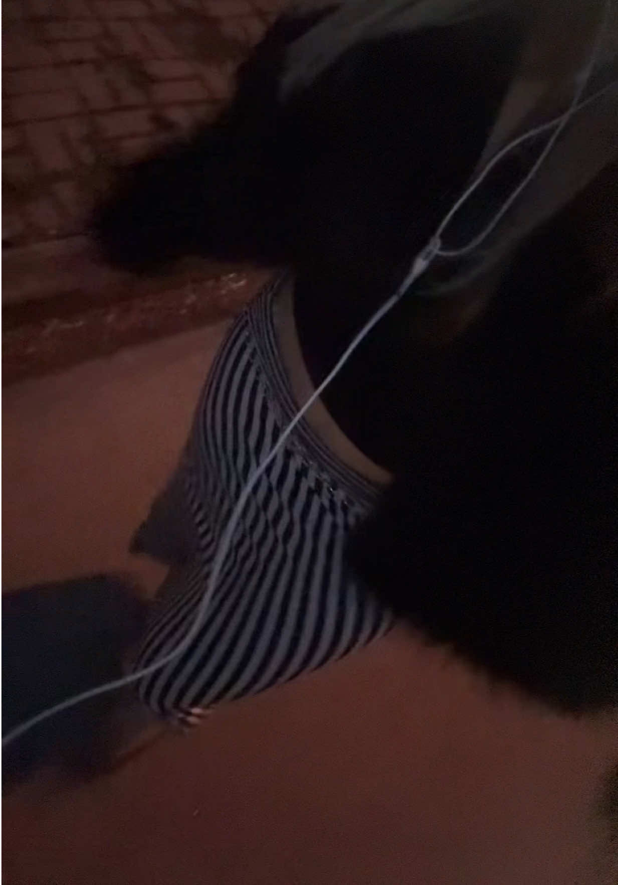 @sydneydb