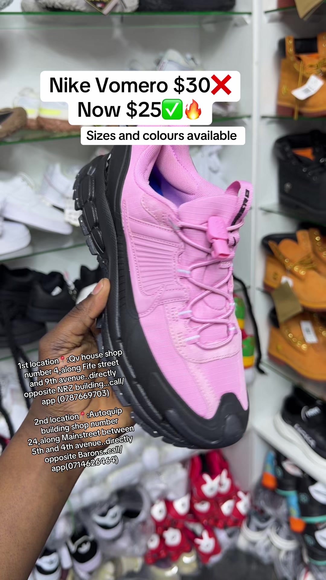 @D n A Sneakers